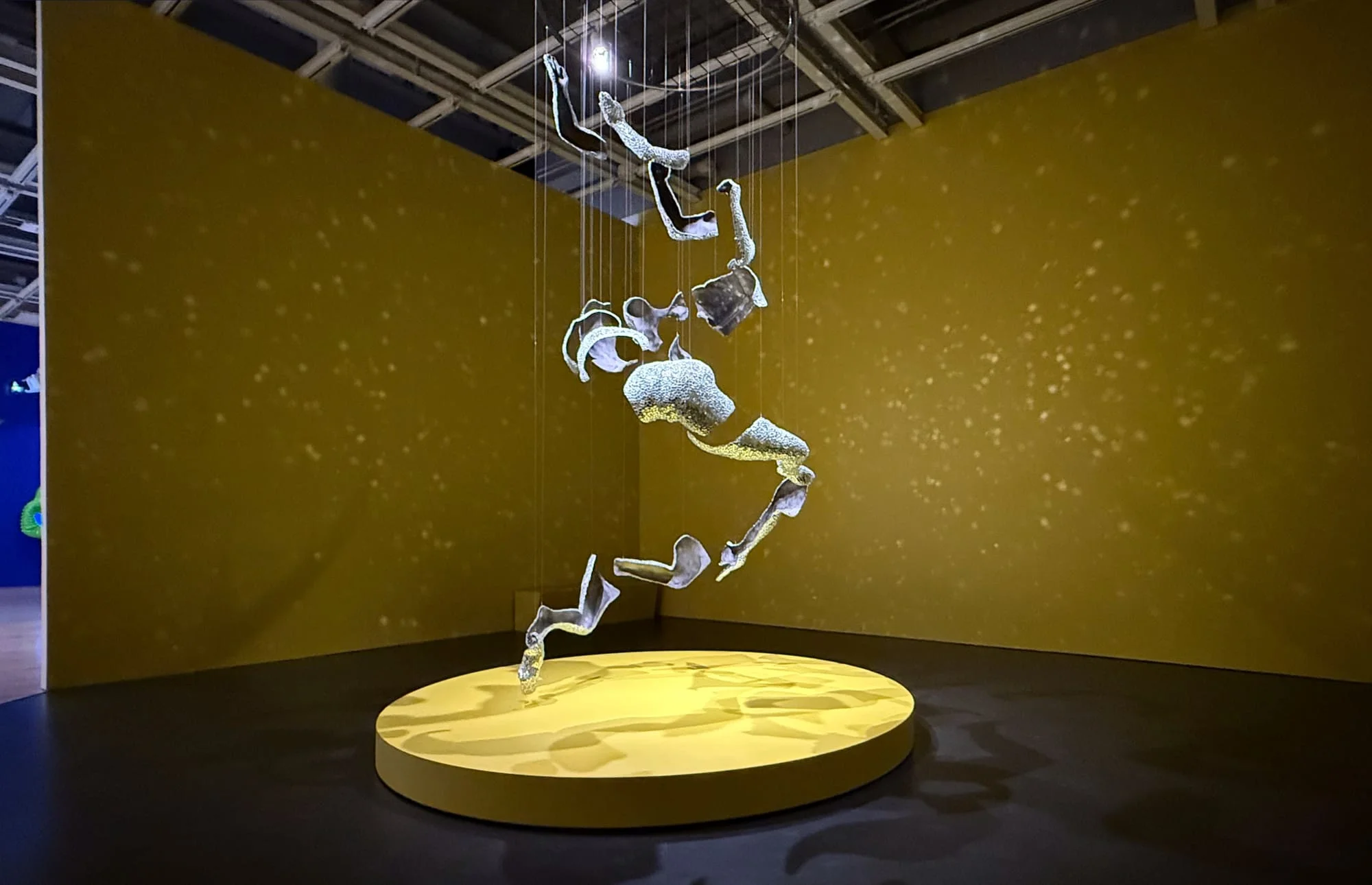 First Impressions From the 2026 Whitney Biennial