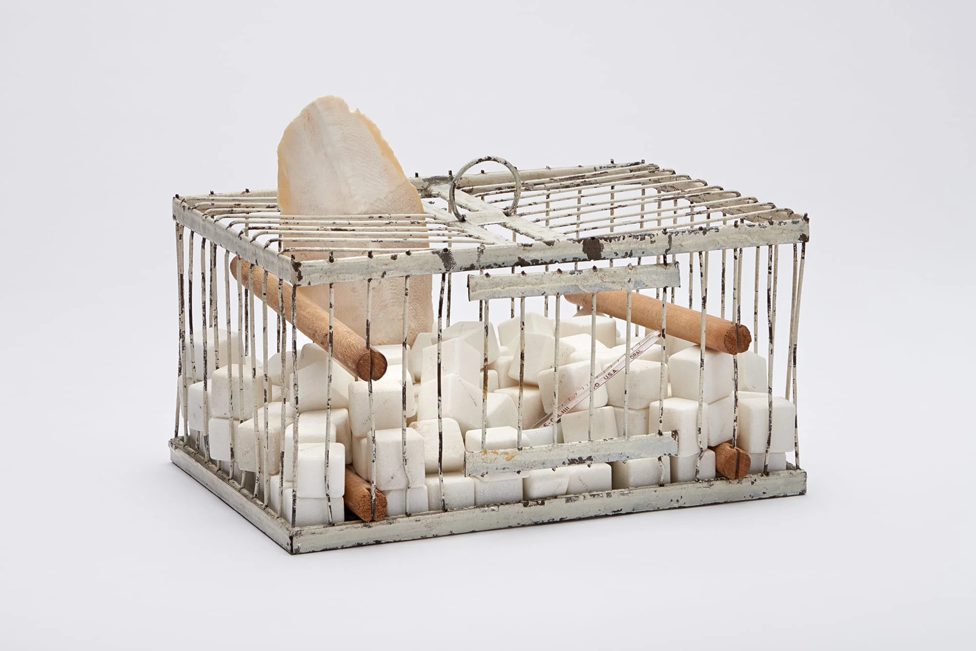 Hyperallergic Spring 2026 New York Art Guide