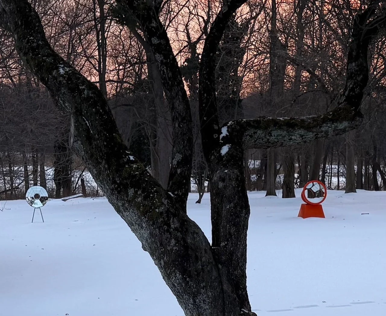 Hyperallergic Spring 2026 New York Art Guide