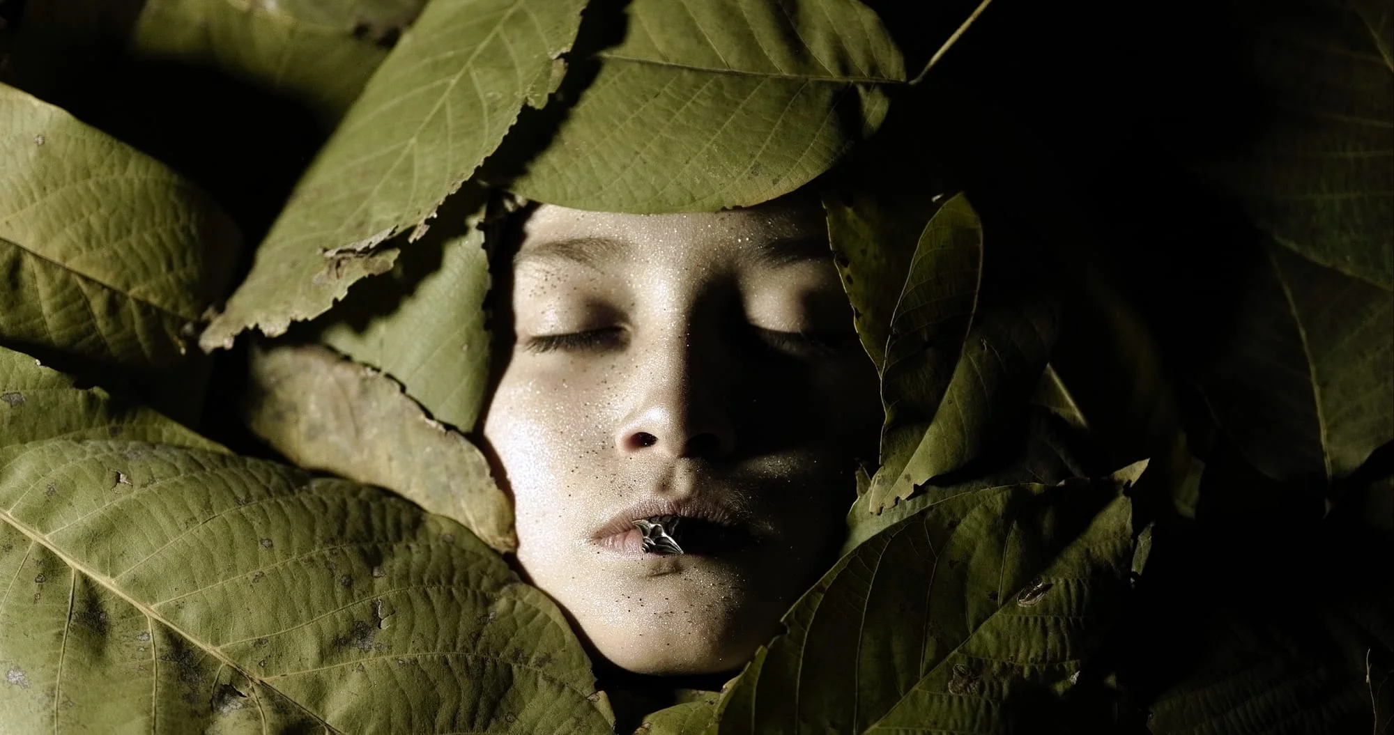 Hyperallergic Spring 2026 New York Art Guide